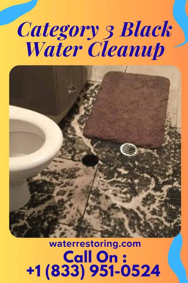 Category 3 Black Water Cleanup in Baker, MN