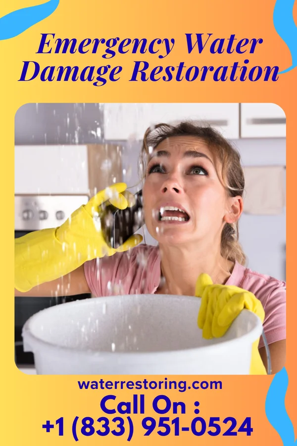 Emergency Water Damage Restoration in Baker, MN